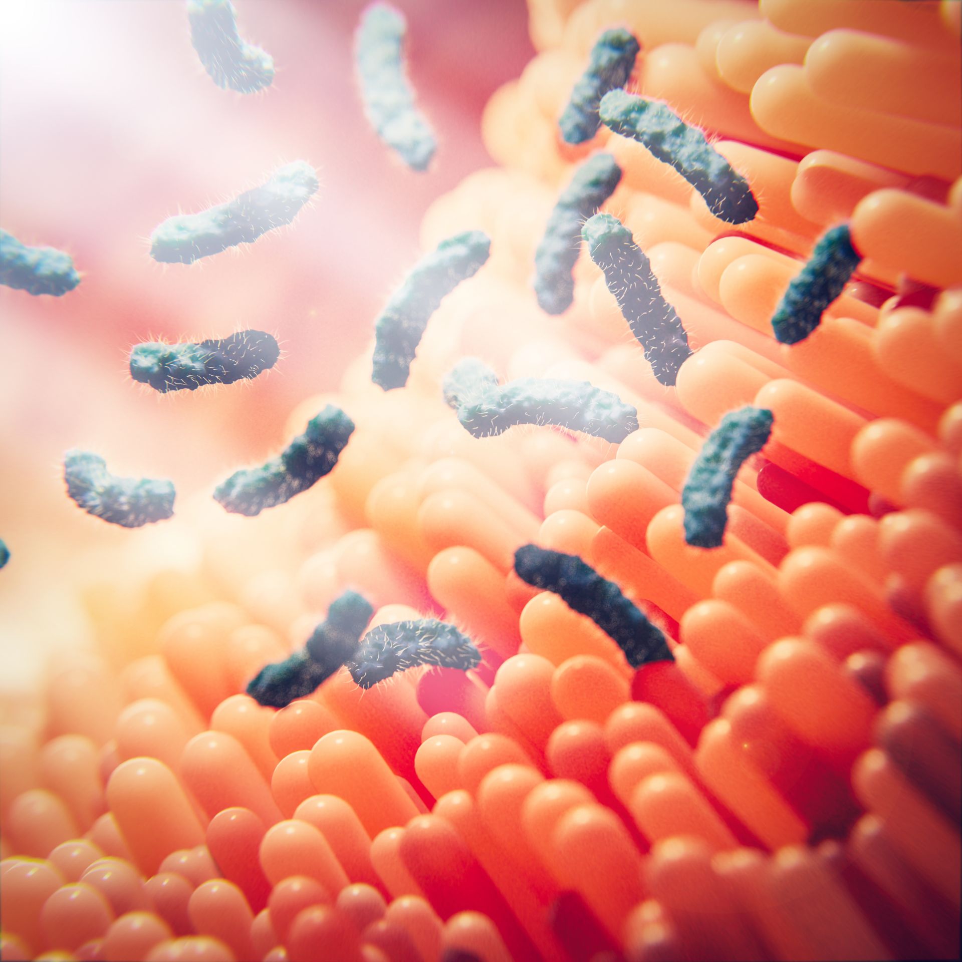 MikroVeda Gute Bakterien vom MilieuSpezialisten